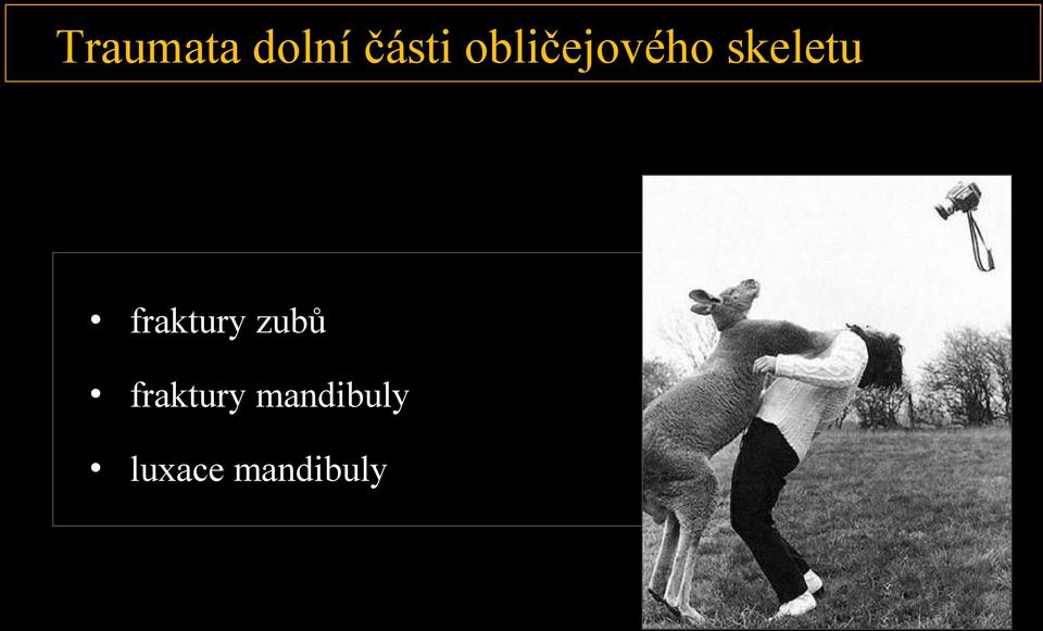 fraktury zubů fraktury