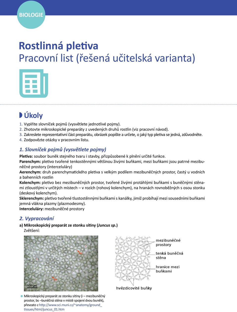 Zodpovězte otázky v pracovním listu. 1. Slovníček pojmů (vysvětlete pojmy) Pletiva: soubor buněk stejného tvaru i stavby, přizpůsobené k plnění určité funkce.