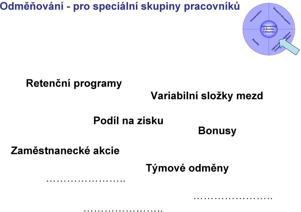 Defined Groups of Employees Retenční programy Variabilní