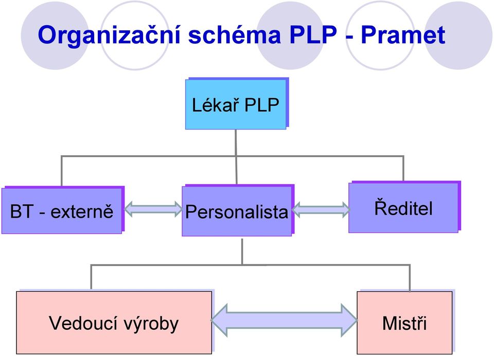 BT - externě Personalista Ředitel