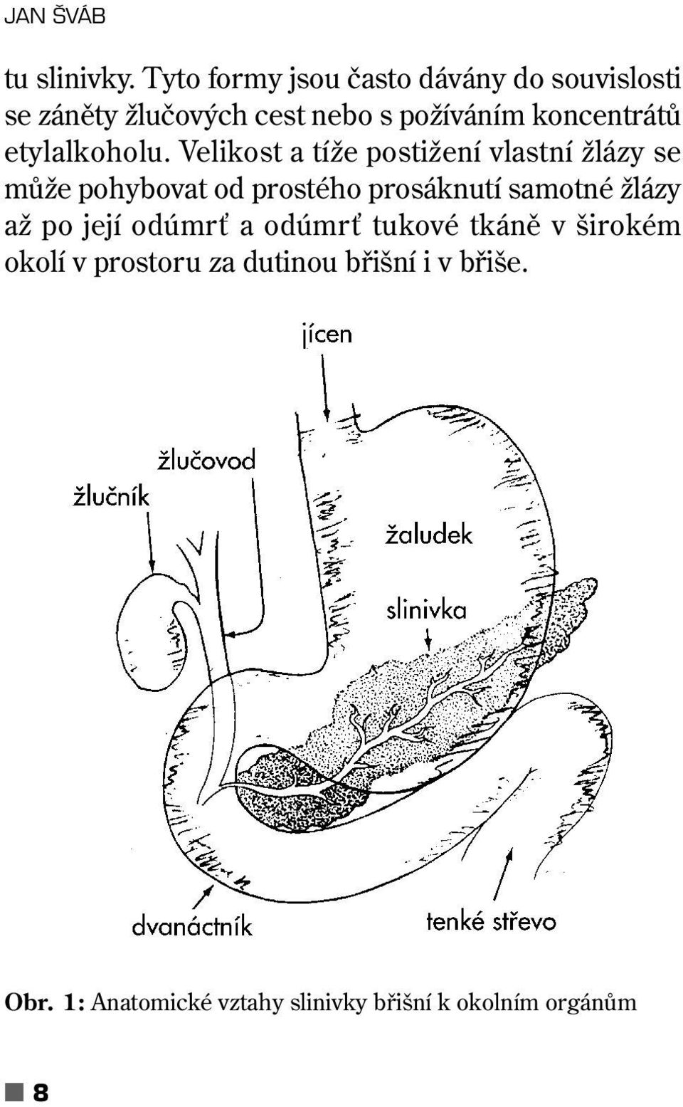 koncentrátů etylalkoholu.