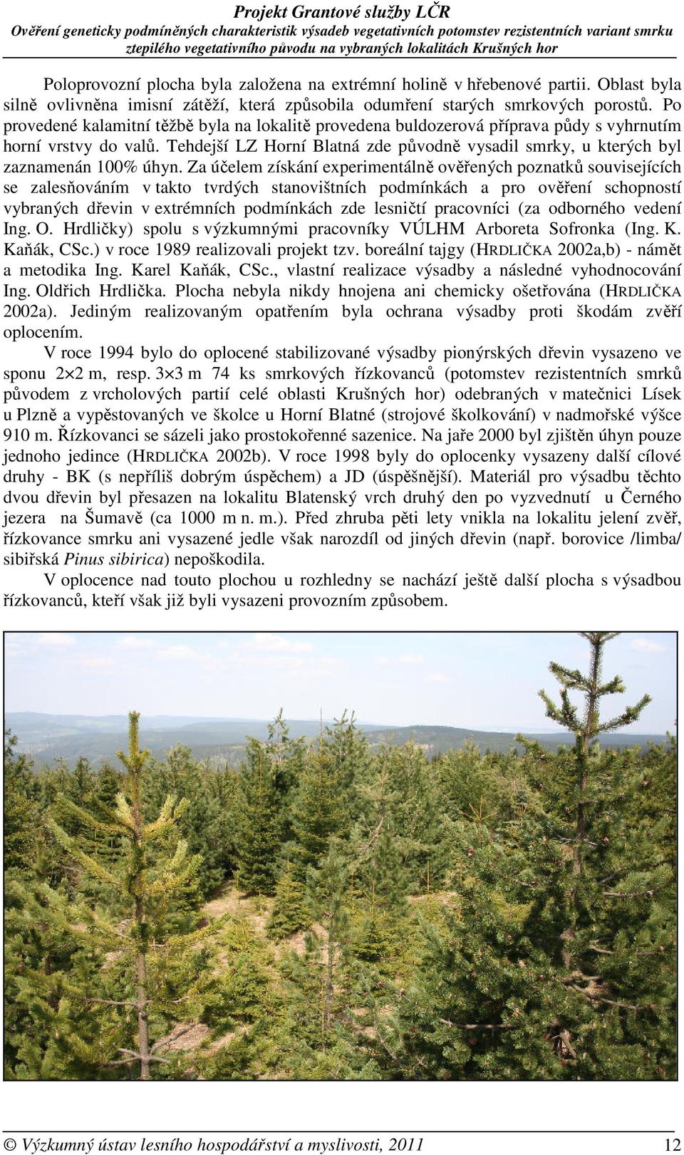 Tehdejší LZ Horní Blatná zde původně vysadil smrky, u kterých byl zaznamenán 100% úhyn.