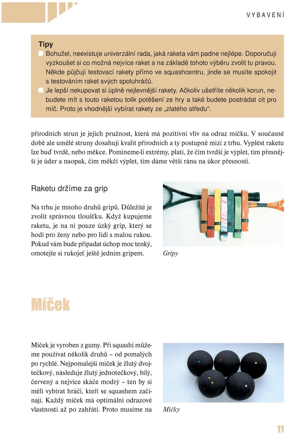 Dominik Šácha Jak dokonale zvládnout squash - PDF Stažení zdarma