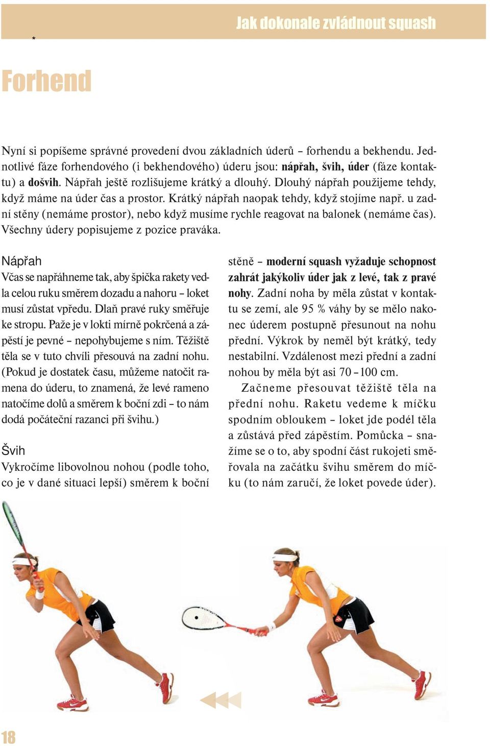 Dominik Šácha Jak dokonale zvládnout squash - PDF Stažení zdarma