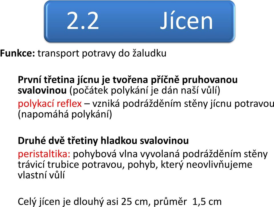 (napomáhá polykání) Druhé dvě třetiny hladkou svalovinou peristaltika: pohybová vlna vyvolaná podrážděním