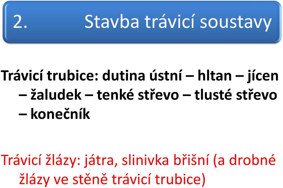 tlusté střevo konečník Trávicí žlázy: játra,