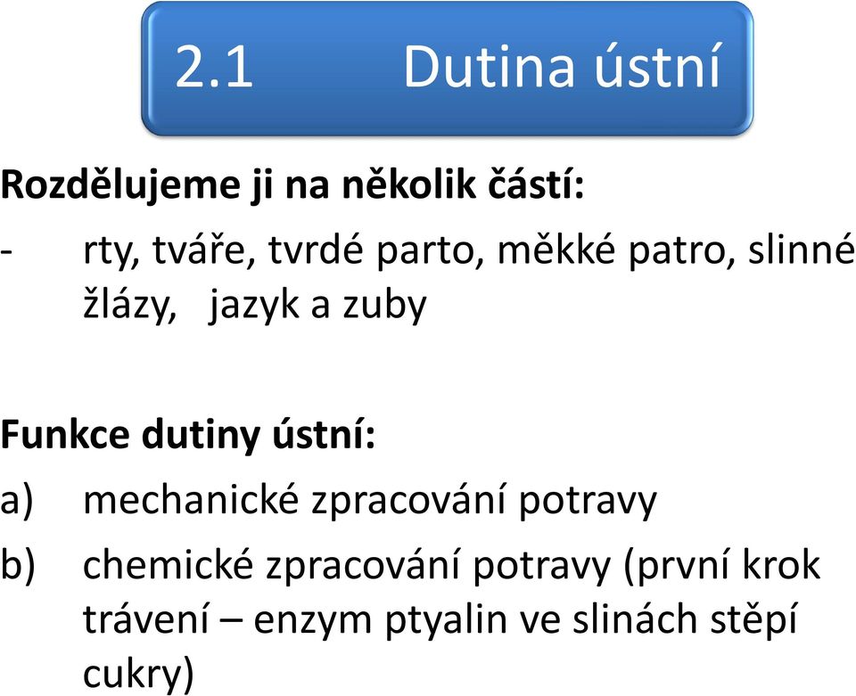 dutiny ústní: a) mechanické zpracování potravy b) chemické