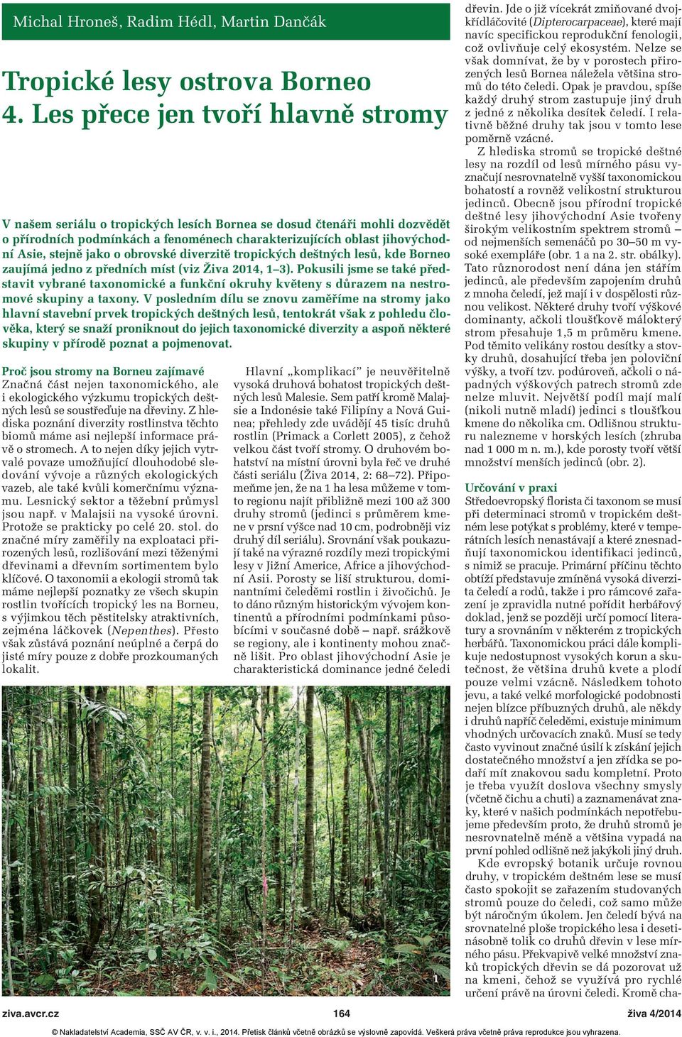 jako o obrovské diverzitě tropických deštných lesů, kde Borneo zaujímá jedno z předních míst (viz Živa 2014, 1 3).