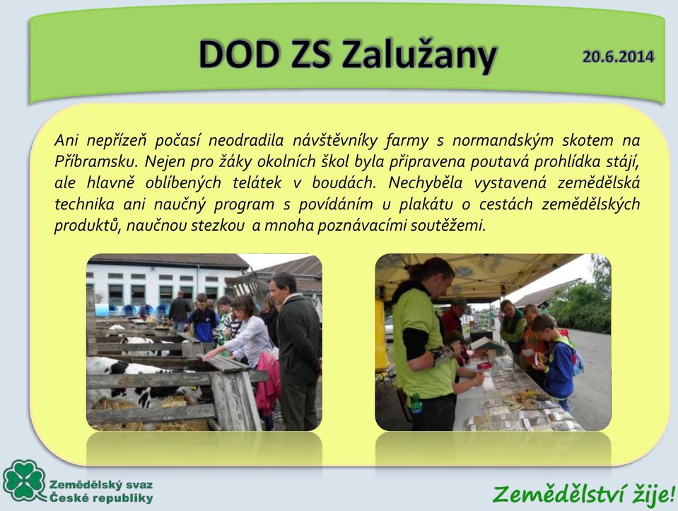 oblíbených telátek v boudách.