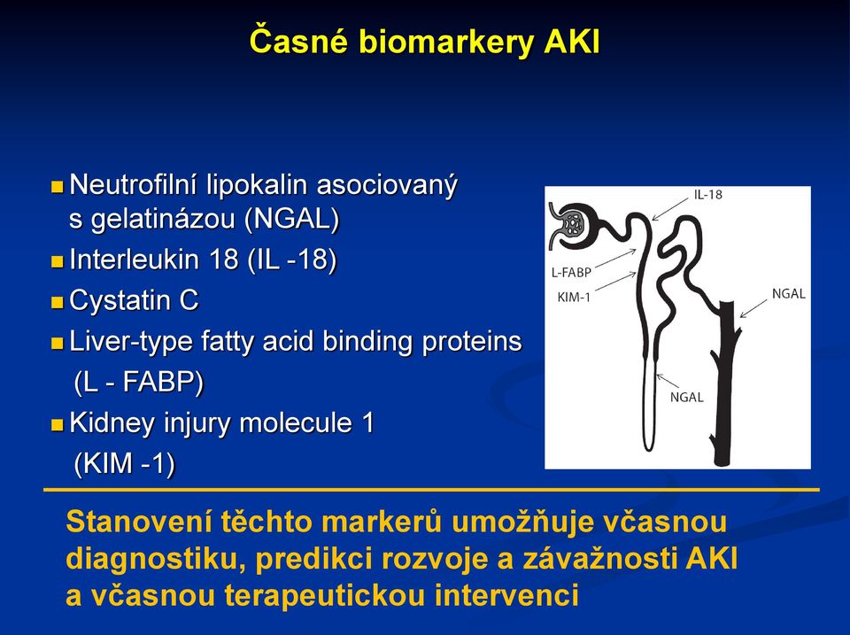 FABP) Kidney injury molecule 1 (KIM -1) Stanovení těchto markerů umožňuje