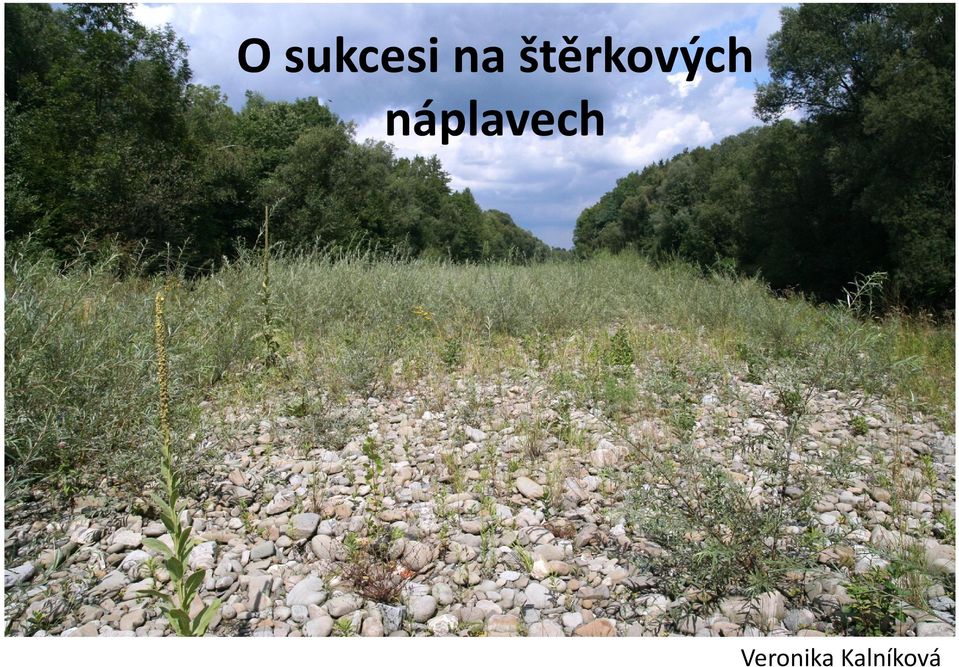 náplavech