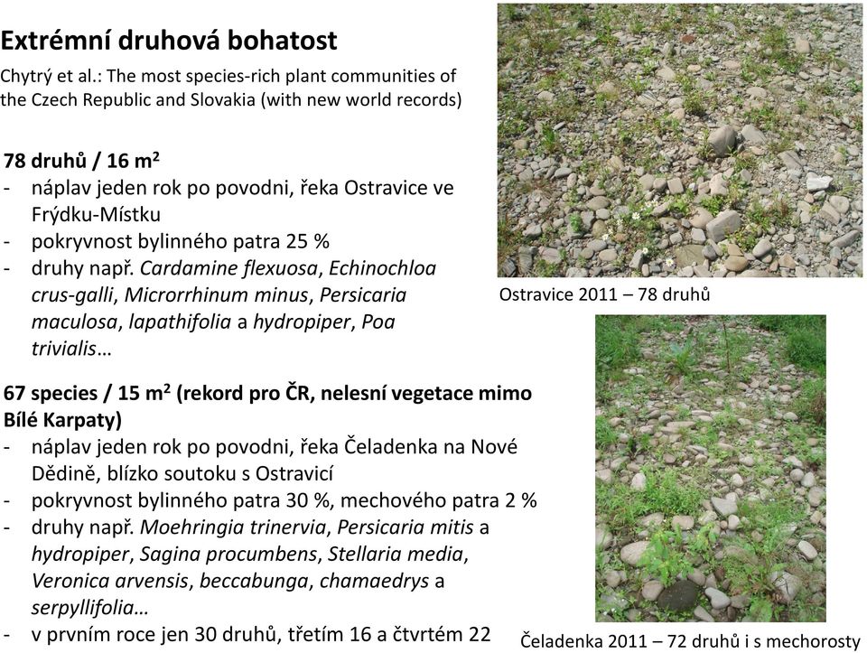 bylinného patra 25 % - druhy např.