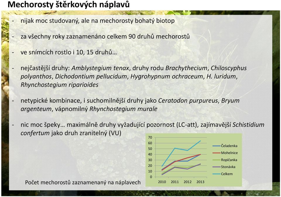 luridum, Rhynchostegium riparioides - netypické kombinace, i suchomilnější druhy jako Ceratodon purpureus, Bryum argenteum, vápnomilný Rhynchostegium murale - nic moc špeky maximálně