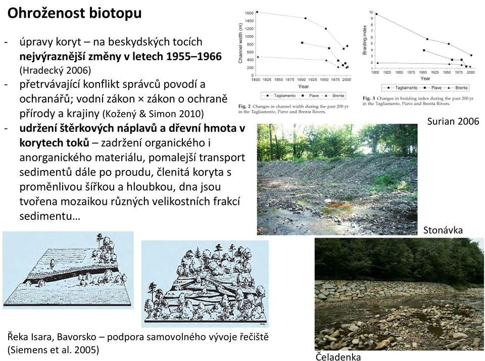 organického i anorganického materiálu, pomalejší transport sedimentů dále po proudu, členitá koryta s proměnlivou šířkou a hloubkou, dna jsou tvořena