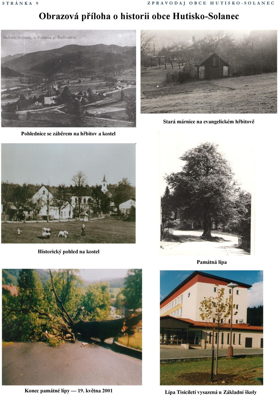 se záběrem na hřbitov a kostel Historický pohled na kostel Památná lípa