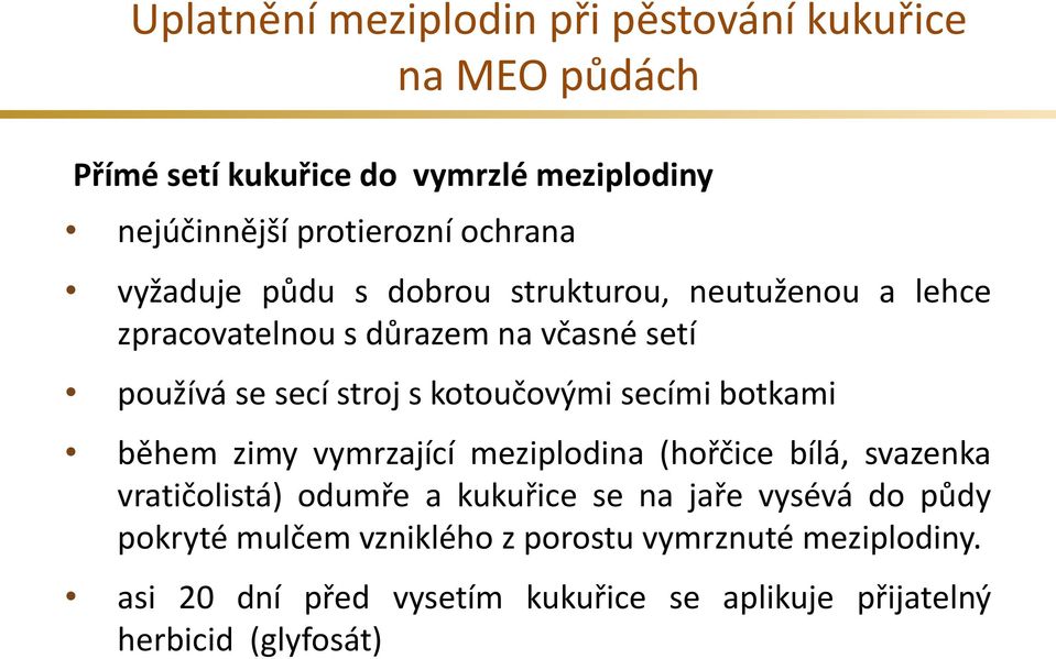 kotoučovými secími botkami během zimy vymrzající meziplodina (hořčice bílá, svazenka vratičolistá) odumře a kukuřice se na jaře