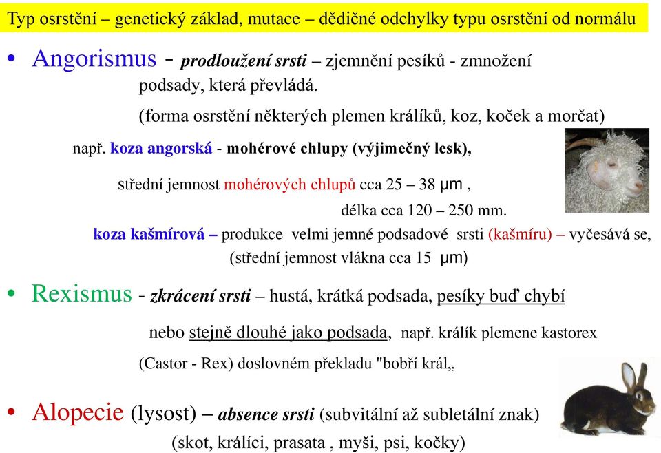 koza angorská - mohérové chlupy (výjimečný lesk), střední jemnost mohérových chlupů cca 25 38 μm, délka cca 120 250 mm.