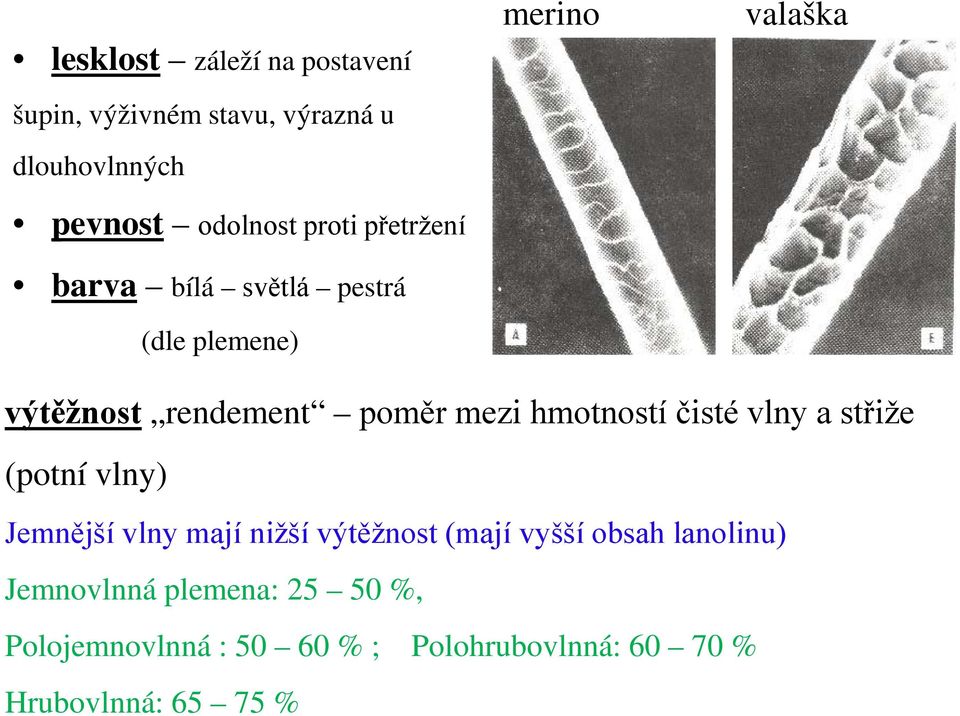 hmotností čisté vlny a střiže (potní vlny) Jemnější vlny mají nižší výtěžnost (mají vyšší obsah