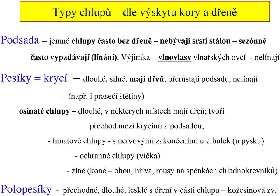 i prasečí štětiny) osinaté chlupy dlouhé, v některých místech mají dřeň; tvoří přechod mezi krycími a podsadou; - hmatové chlupy - s nervovými