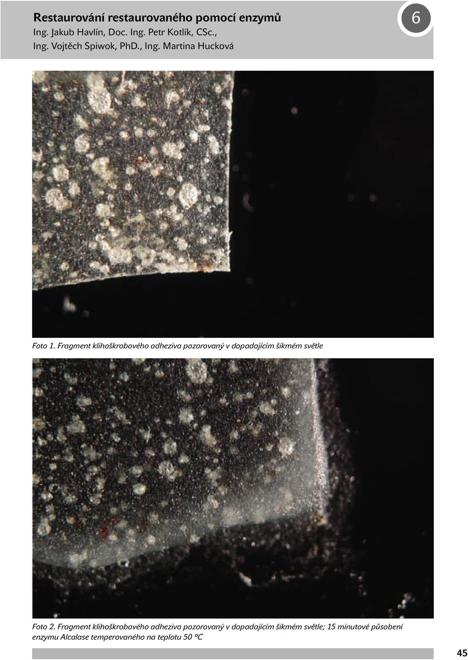 Fragment klihoškrobového adheziva pozorovaný v dopadajícím šikmém světle Foto 2.