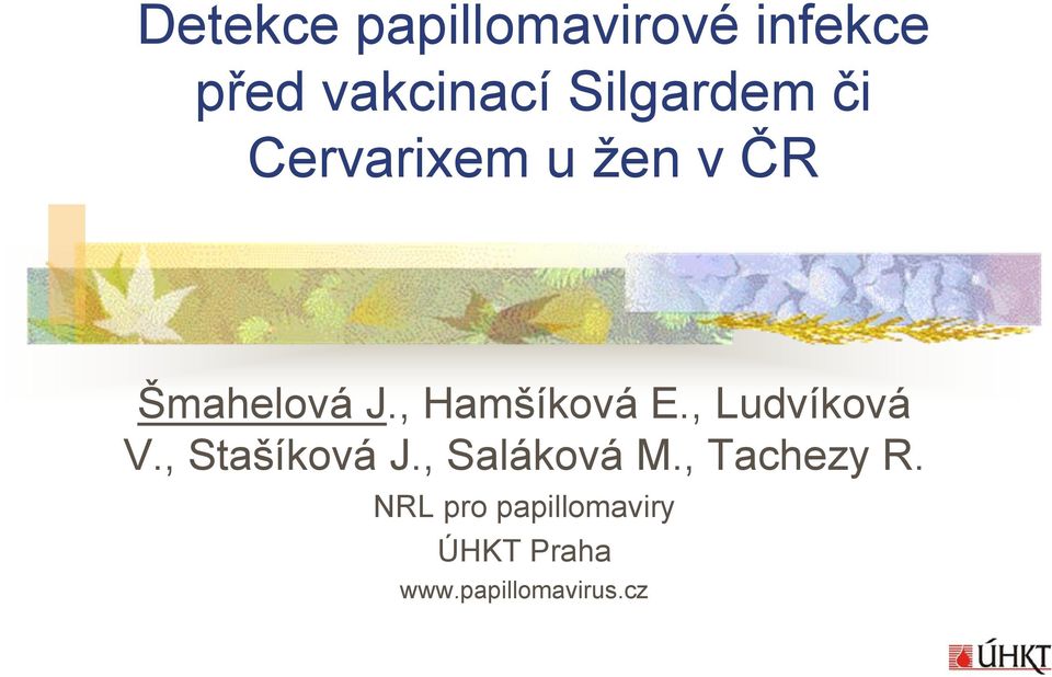 , Hamšíková E., Ludvíková V., Stašíková J.