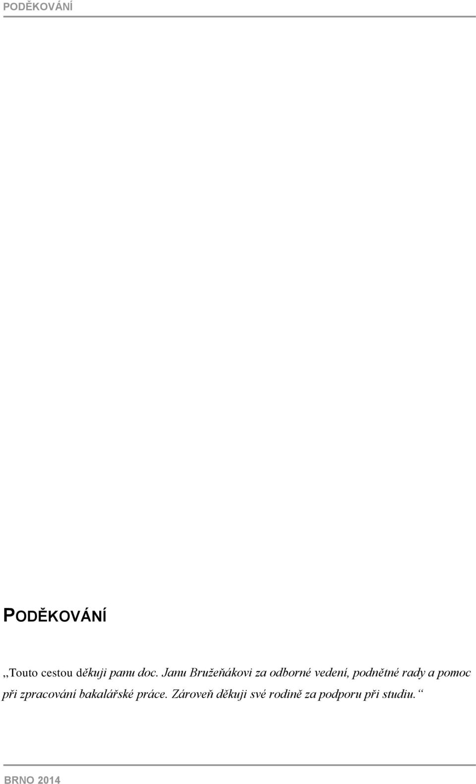 rady a pomoc při zpracování bakalářské práce.