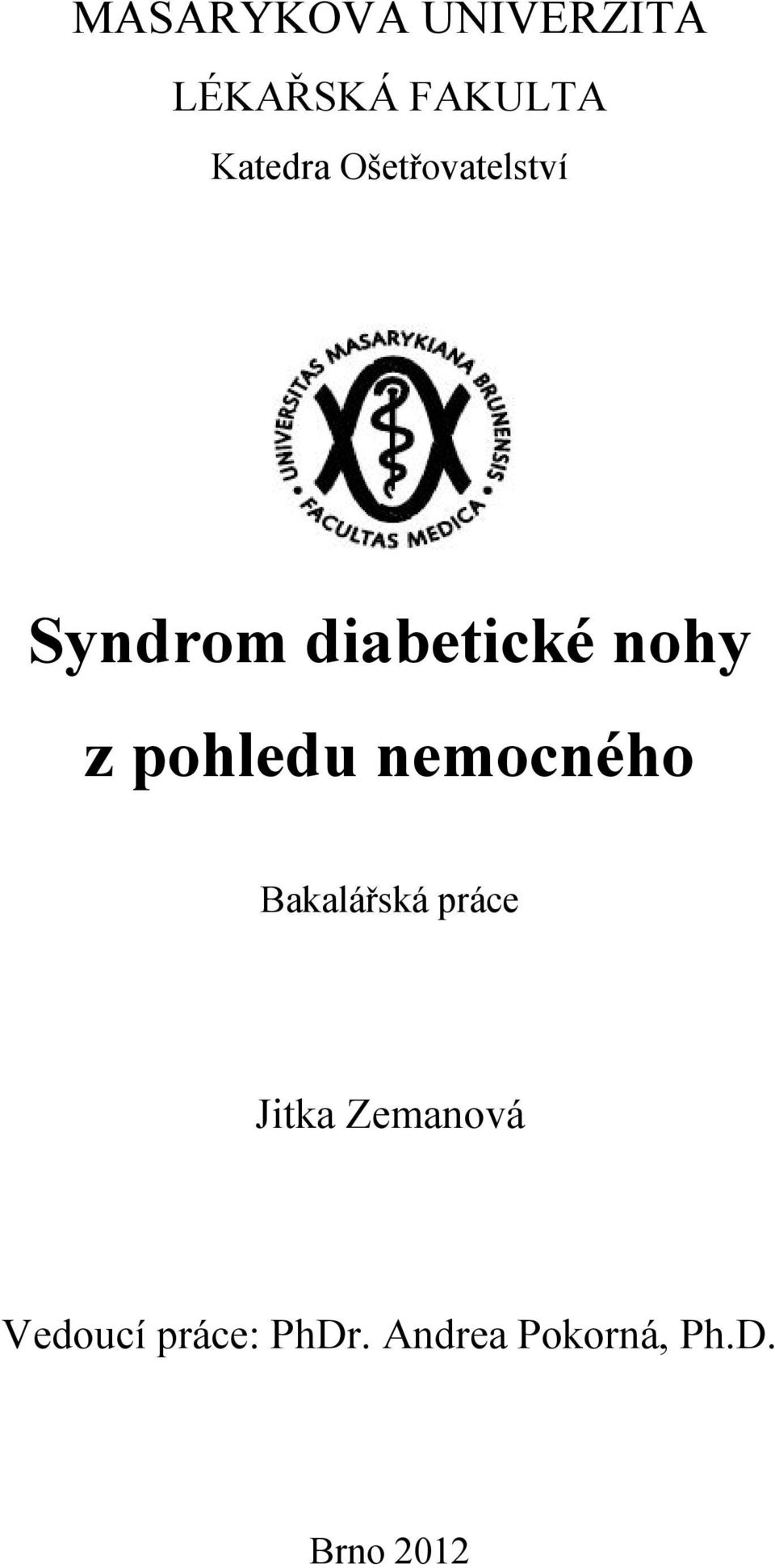 pohledu nemocného Bakalářská práce Jitka