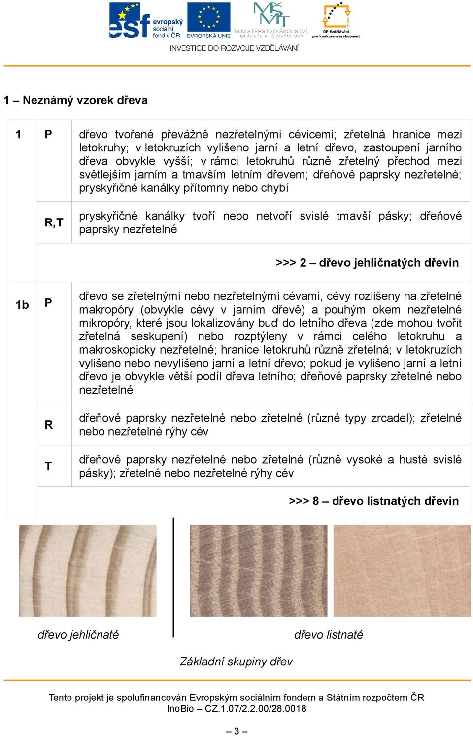 tmavší pásky; dřeňové paprsky nezřetelné >>> 2 dřevo jehličnatých dřevin 1b T dřevo se zřetelnými nebo nezřetelnými cévami, cévy rozlišeny na zřetelné makropóry (obvykle cévy v jarním dřevě) a pouhým