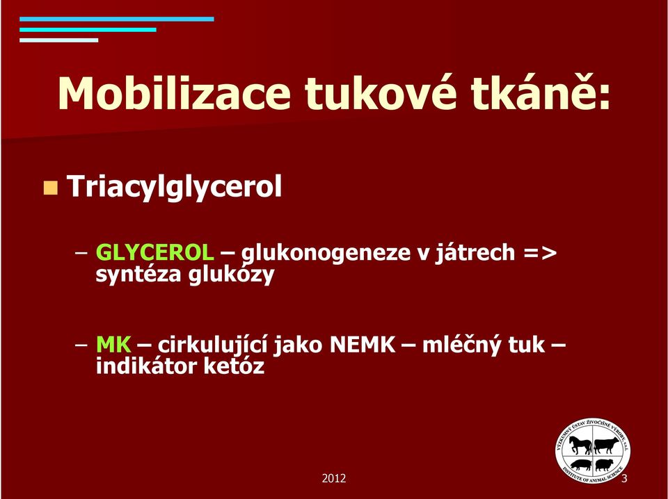 glukonogeneze v játrech => syntéza