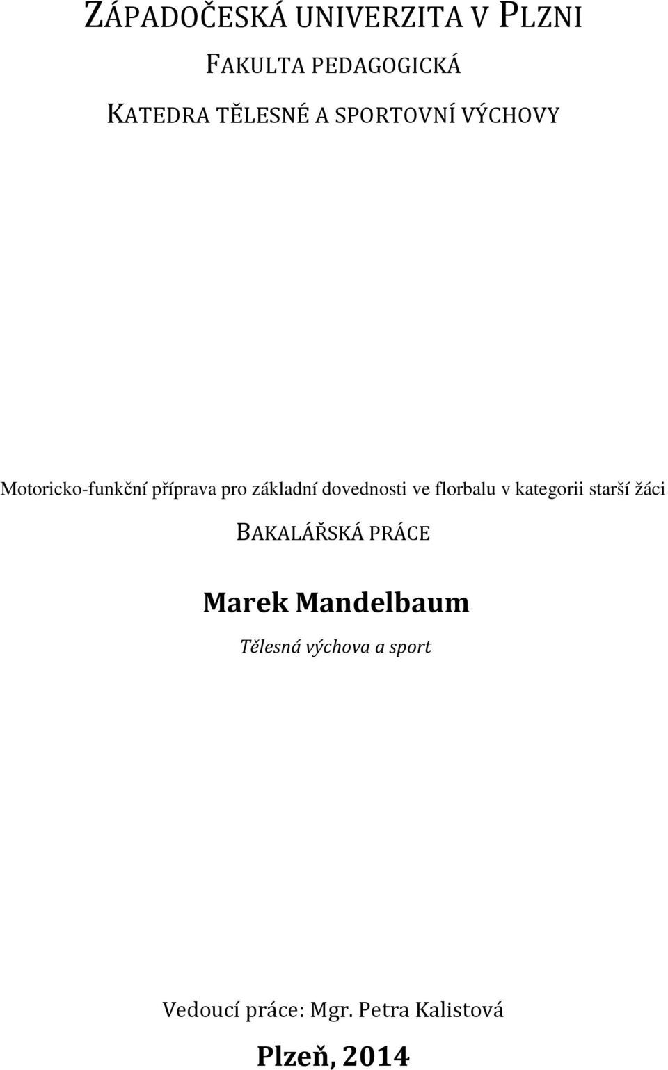ve florbalu v kategorii starší žáci BAKALÁŘSKÁ PRÁCE Marek Mandelbaum