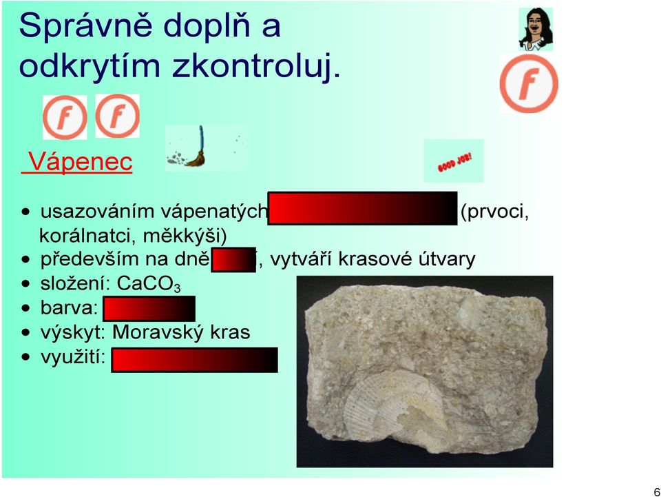 korálnatci, měkkýši) především na dně moří, vytváří krasové