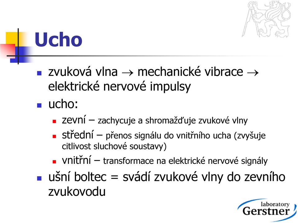 vnitřního ucha (zvyšuje citlivost sluchové soustavy) vnitřní transformace