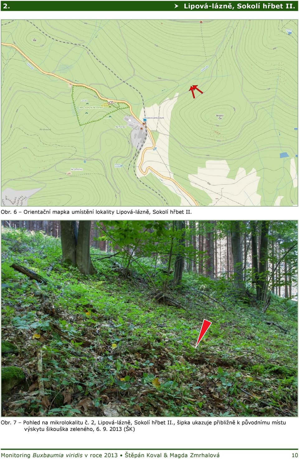 7 Pohled na mikrolokalitu č. 2, Lipová-lázně, Sokolí hřbet II.