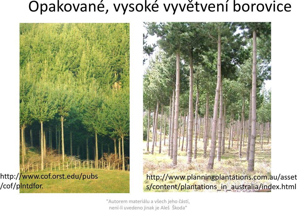 http://www.planningplantations.com.