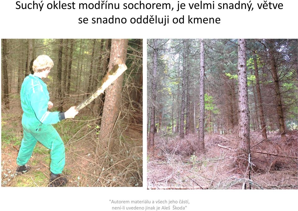 snadný, větve se