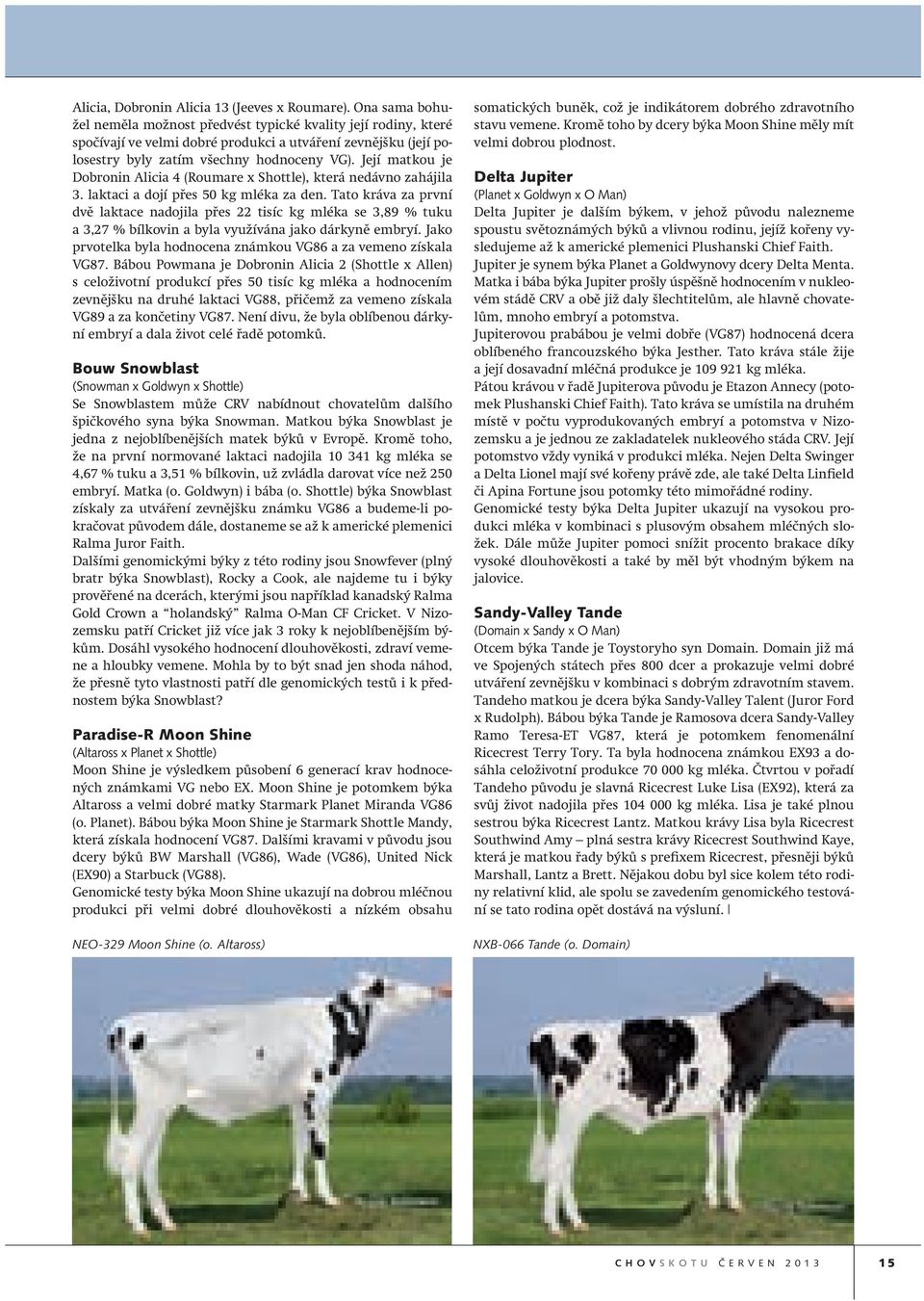 Její matkou je Dobronin Alicia 4 (Roumare x Shottle), která nedávno zahájila 3. laktaci a dojí přes 50 kg mléka za den.