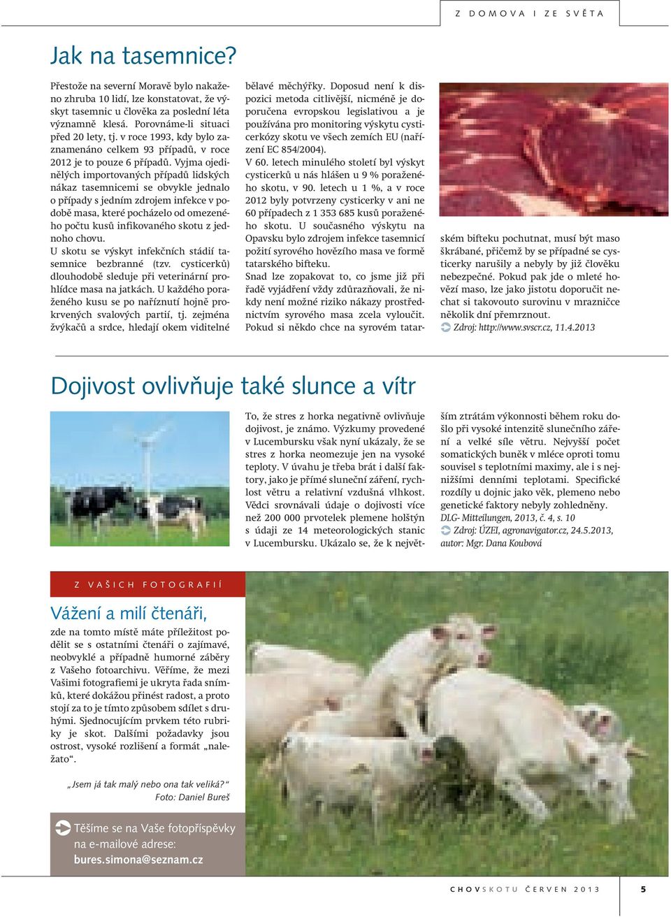 Vyjma ojedinělých importovaných případů lidských nákaz tasemnicemi se obvykle jednalo o případy s jedním zdrojem infekce v podobě masa, které pocházelo od omezeného počtu kusů infikovaného skotu z