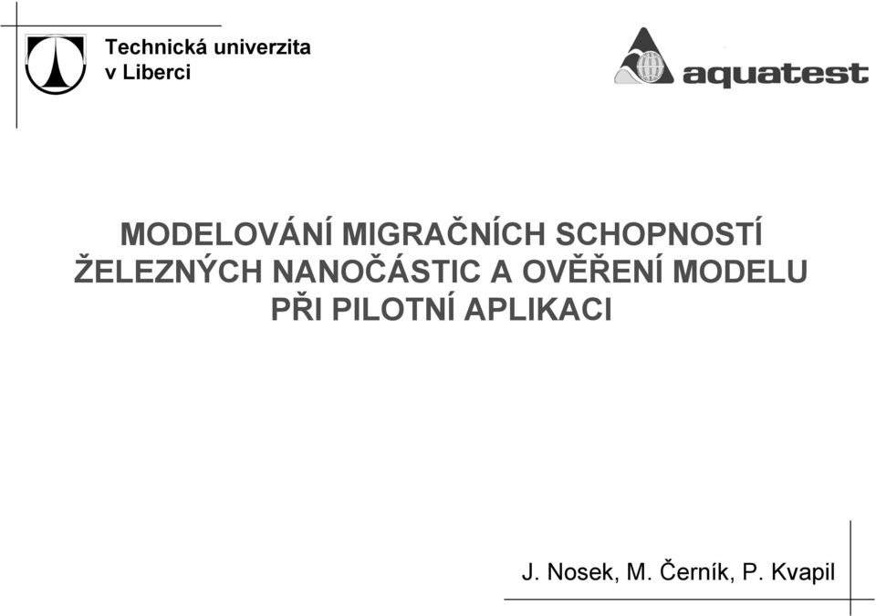 ŽELEZNÝCH NANOČÁSTIC A OVĚŘENÍ MODELU