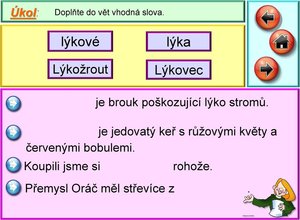 brouk poškozující lýko stromů.