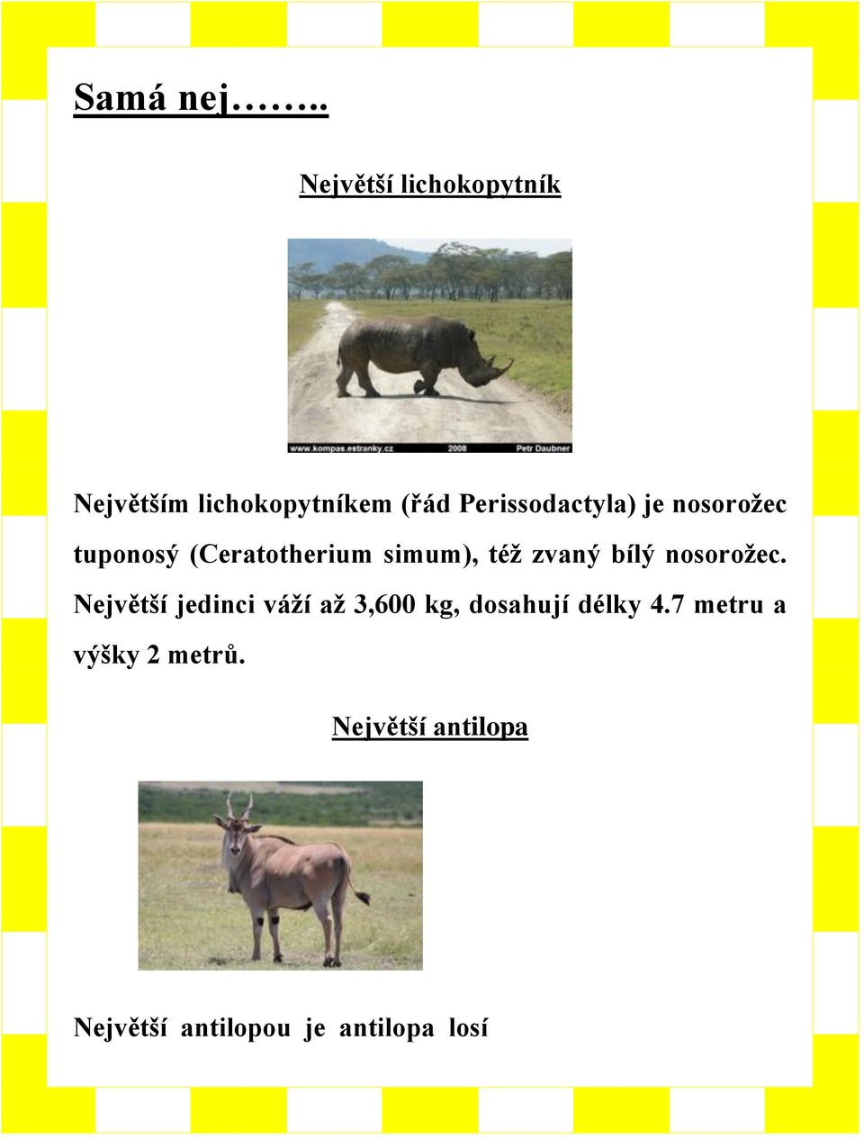 Perissodactyla) je nosorožec tuponosý (Ceratotherium simum), též zvaný