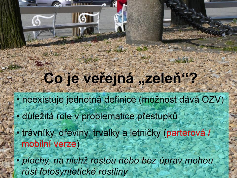 neexistuje jednotná definice (možnost dává OZV) důležitá role