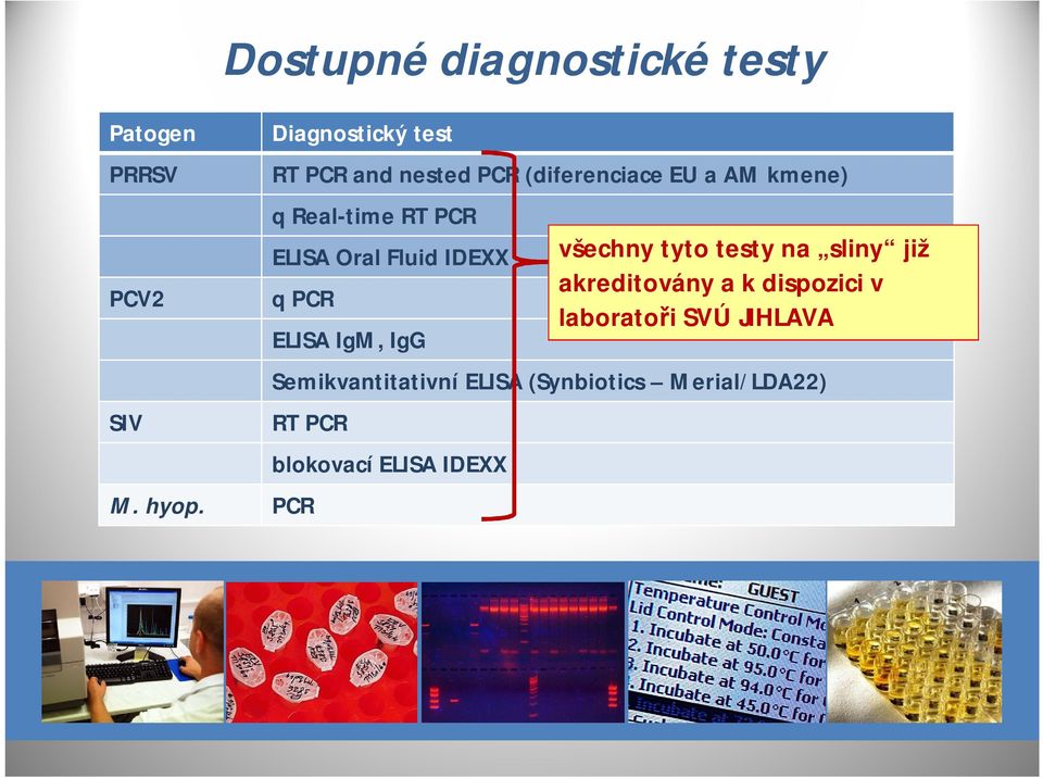 IgM, IgG Semikvantitativní ELISA (Synbiotics Merial/LDA22) RT PCR M. hyop.