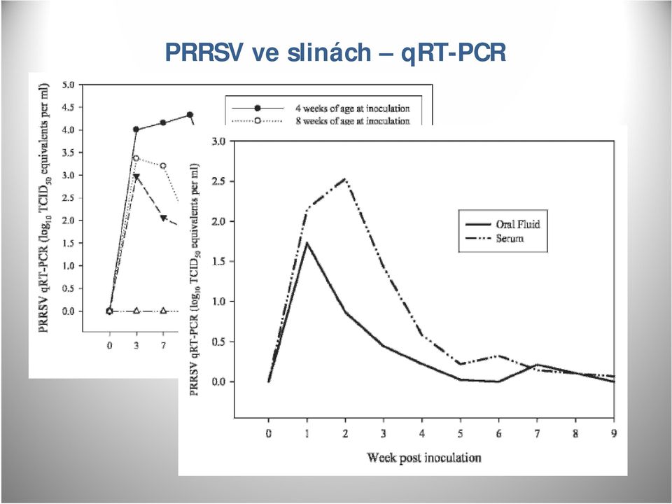 qrt-pcr