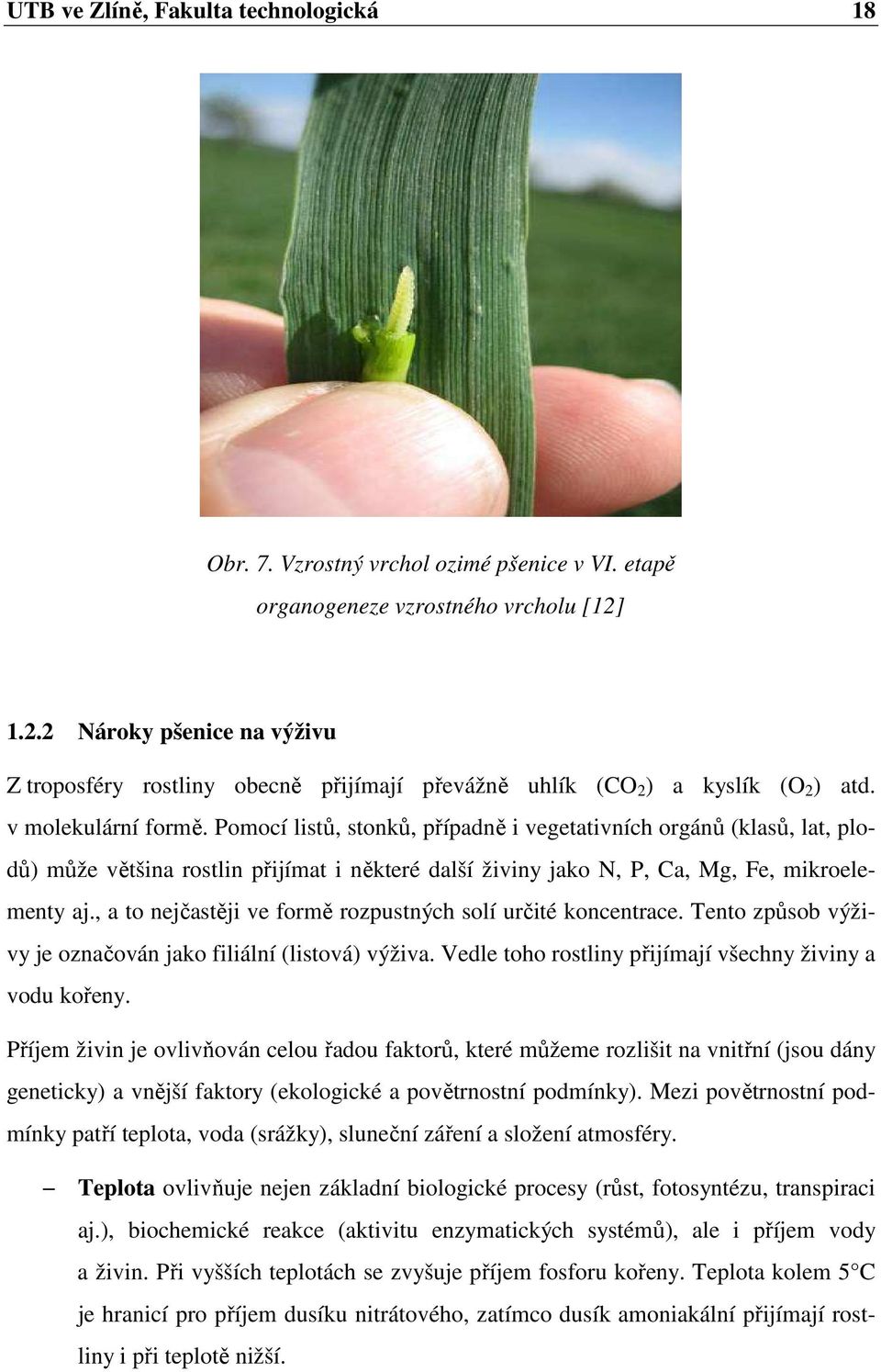 Pomocí listů, stonků, případně i vegetativních orgánů (klasů, lat, plodů) může většina rostlin přijímat i některé další živiny jako N, P, Ca, Mg, Fe, mikroelementy aj.