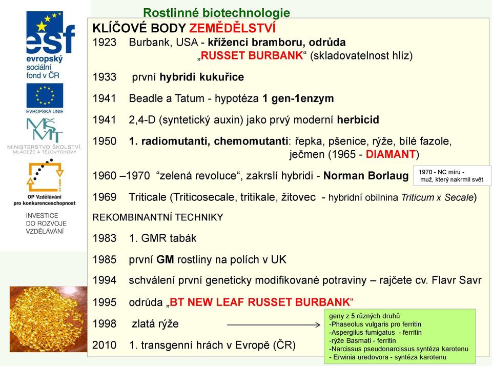 radiomutanti, chemomutanti: řepka, pšenice, rýže, bílé fazole, ječmen (1965 - DIAMANT) 1960 1970 zelená revoluce, zakrslí hybridi - Norman Borlaug 1970 - NC míru - muž, který nakrmil svět 1969