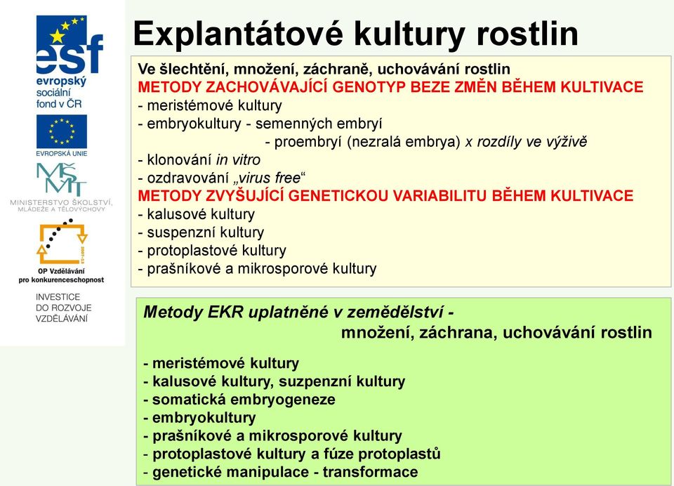 kultury - suspenzní kultury - protoplastové kultury - prašníkové a mikrosporové kultury Metody EKR uplatněné v zemědělství - množení, záchrana, uchovávání rostlin - meristémové