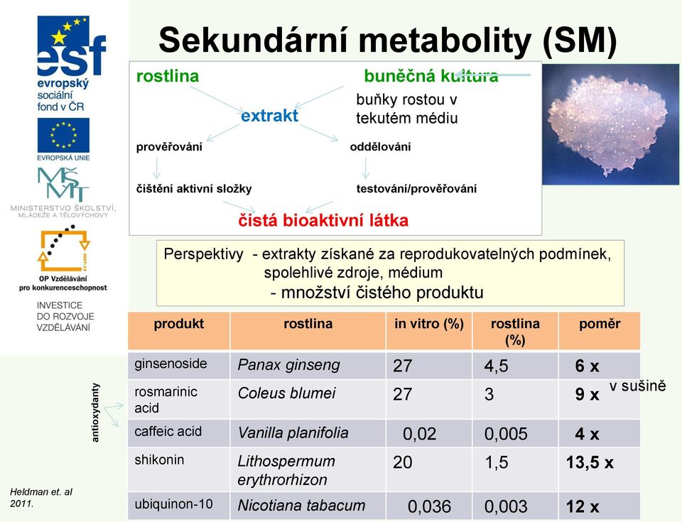 produktu produkt rostlina in vitro (%) rostlina (%) poměr ginsenoside Panax ginseng 27 4,5 6 x rosmarinic acid Coleus blumei 27 3 9 x caffeic acid