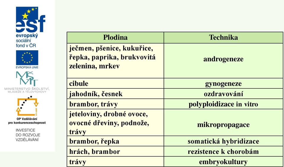 trávy brambor, řepka hrách, brambor trávy Technika androgeneze gynogeneze ozdravování