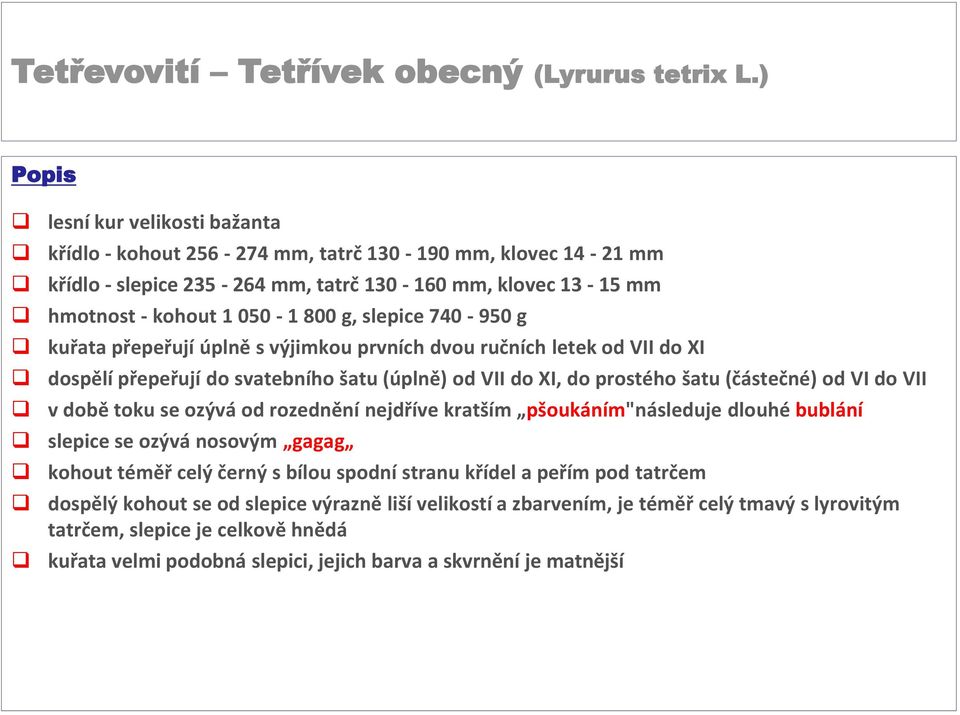 slepice 740-950 g kuřata přepeřují úplně s výjimkou prvních dvou ručních letek od VII do XI dospělí přepeřují do svatebního šatu (úplně) od VII do XI, do prostého šatu (částečné) od VI do VII v době