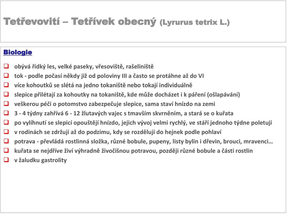 individuálně slepice přilétají za kohoutky na tokaniště, kde může docházet i k páření (ošlapávání) veškerou péči o potomstvo zabezpečuje slepice, sama staví hnízdo na zemi 3-4 týdny zahřívá 6-12